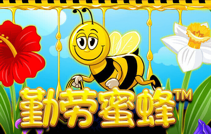 竞搏体育app下载